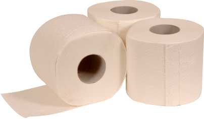 Papier Toilette 10*4 400 feuilles 2 lg
